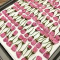 クックYS50's cooksnap of when they made 手作り♪桜の塩漬け.