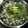 ビキナーもんちゃん's cooksnap of when they made 簡単*シンプル♪あさりと菜の花の酒蒸し.