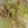 クックUL8OCM☆'s cooksnap of when they made フライパンで簡単蒸し野菜.