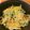 めぐごはん☆'s cooksnap of when they made からすみと水菜のスパゲティー♬.
