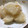 かなこ（・ω・）'s cooksnap of when they made ◆やみつき♪大根のから揚げ◆.