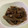 papikun's cooksnap of when they made こんにゃくとぜんまいのきんぴら風煮物.