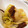 Syabuqueen's cooksnap of when they made 干しするめと白菜のうま煮.