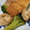 うーれい's cooksnap of when they made 鶏モモと厚揚げのオイスター煮.