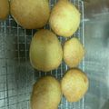 trezor96's cooksnap of when they made 手作り◎蜂蜜丸ぼうろ.