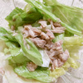 めなよ's cooksnap of when they made 簡単♪レタスとツナのサラダ.