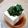 ポニーリボン's cooksnap of when they made 万能☆大葉のごま醤油漬け。.