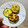 はとちゅっちゅ's cooksnap of when they made ＊ズッキーニのはさみ焼き＊.