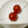 ちえぞ〜's cooksnap of when they made 裏技☆プチトマト復活大作戦 (^^;.