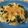 おかあちゃん。's cooksnap of when they made 新玉ねぎのマヨポンサラダ.
