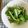 ぷーき's cooksnap of when they made 春菊とりんごのサラダ.