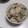 きらり流れ星's cooksnap of when they made ごぼうとひじきの炊き込みごはん.