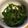 んりおか's cooksnap of when they made ピーマンの塩昆布和え☆.