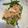 クック茶々茶's cooksnap of when they made タラの芽のおひたし.