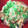 ブランシュkuu's cooksnap of when they made 豆腐ともやしの卵とじ.