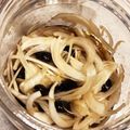 ふたごママちゃん's cooksnap of when they made *玉ねぎと黒豆の黒酢甘漬で健康習慣を*.