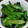 クックUJQEMF☆'s cooksnap of when they made 絹さやとワカメのさっと煮.