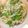 ＊ayumuuu＊'s cooksnap of when they made パクチーときゅうりのエスニック春雨サラダ.