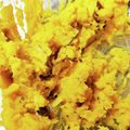 まさきゆ's cooksnap of when they made かぼちゃのハニーマヨサラダ.