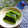 haruku221's cooksnap of when they made 簡単きゅうりの浅漬け.