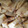 きゅるん's cooksnap of when they made たけのことサバ缶の煮物.