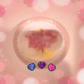 ☆hironon☆'s cooksnap of when they made 新たまねぎのレンジ蒸し.