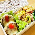 LimeLunch's cooksnap of when they made 春キャベツと豚バラ肉の塩炒め.
