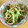 ボブナナ's cooksnap of when they made 大根とイカのうま煮.