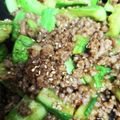♡♡かすみ♡♡'s cooksnap of when they made 冷めてもおいしい！志麻さん流麻婆きゅうり.