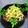 辰夫女子's cooksnap of when they made フライパンで簡単★卯の花（おからの煮物）.