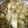 M3doors111's cooksnap of when they made 大根とツナ缶の煮物.