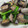 クック6DDPP8☆'s cooksnap of when they made あさりと小松菜の酒蒸しソテー♪.