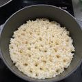tamamanbo's cooksnap of when they made ストウブ de 玄米ご飯.