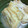 ちーまぐ's cooksnap of when they made 卵とチーズの巾着煮.