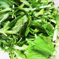 ゆち8's cooksnap of when they made 長持ち！水菜の冷蔵、冷凍保存方法.