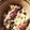 ミニーアントワネット's cooksnap of when they made ｡oﾟ:.ほたるいかの白和え風.o｡:o.