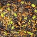 mina0531's cooksnap of when they made 給食で人気NO1☆ひじきのそぼろ煮.