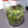 ＹＡＥＲ's cooksnap of when they made ♡簡単！梅酒の作り方♡.