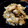 ばたみそーぱん☆'s cooksnap of when they made やみつき箸休め＊ツナ白菜の海苔わさび和え.