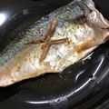 しーゆーのおかん's cooksnap of when they made ごまさばの簡単煮つけ.