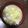 猪木の単身赴任メシ's cooksnap of when they made 絶品！白菜と豆腐の卵とじスープ♪.