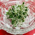 みっくママ's cooksnap of when they made 辛くなーい！サラダに玉葱の甘酢漬け.
