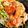 mack♪♪♪'s cooksnap of when they made 1人ランチに♡スタミナうま辛鶏丼.