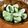 低カロ探検隊's cooksnap of when they made (簡単)そら豆 茹で方.