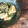 カズ形33's cooksnap of when they made ネギ塩昆布だれ.