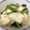 武士道56's cooksnap of when they made 小松菜とかぶの胡麻和え♪.