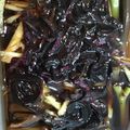 canadawhistler's cooksnap of when they made 今が旬！ワラビのめんつゆ漬け.