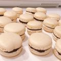 クック4LVHU1☆'s cooksnap of when they made アーモンドプードル不要*マカロン.