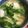 ちゃぎー's cooksnap of when they made つまみ菜と油揚げのお味噌汁.