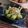 ちゃむむ。's cooksnap of when they made 島らっきょうの塩漬け.